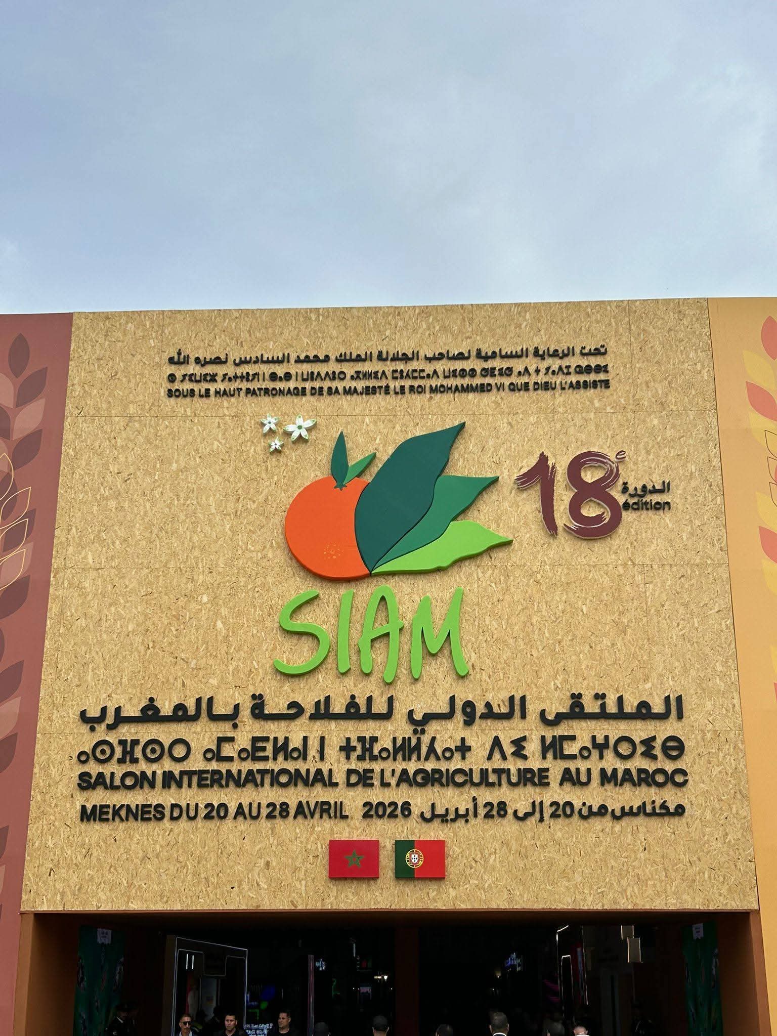 Nos distillateurs au Maroc